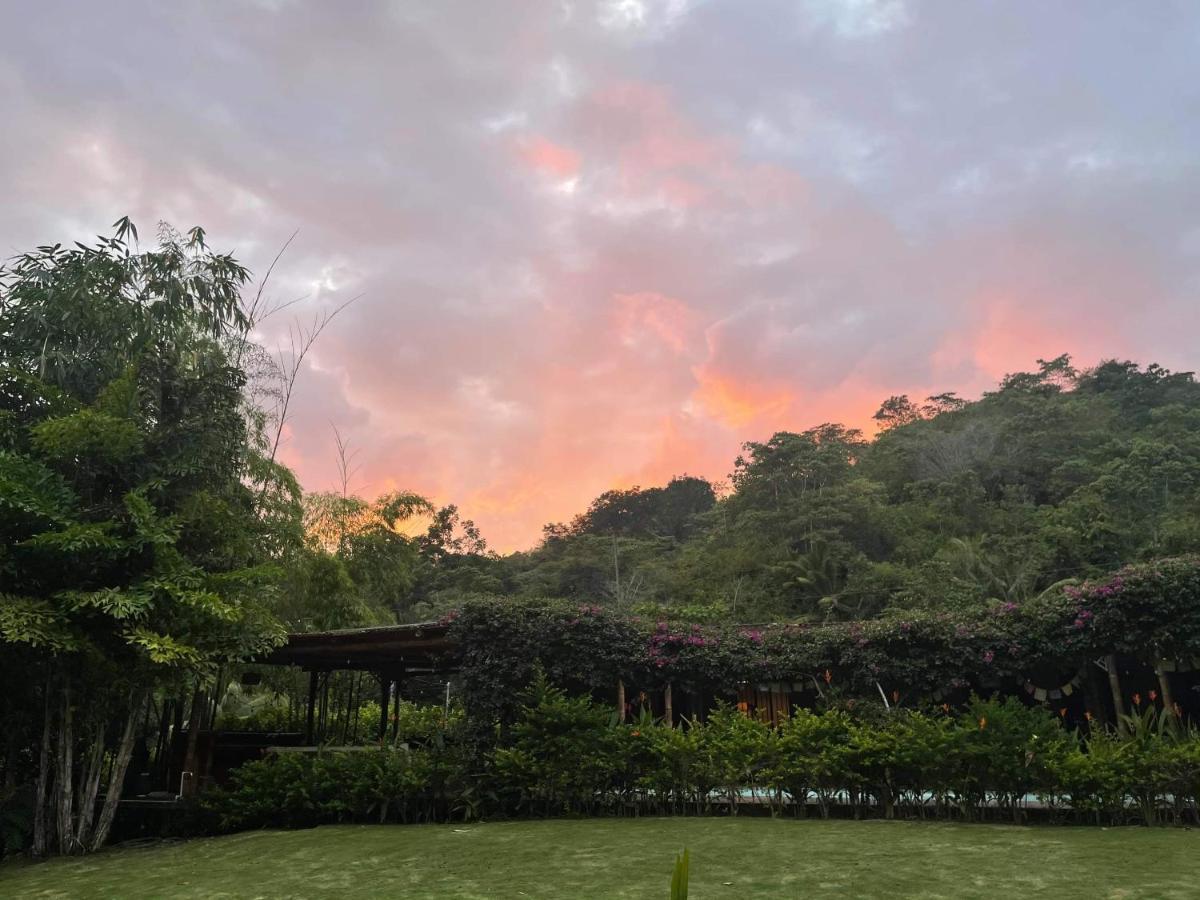 Soul Sync Sanctuary Formally Hacienda La Moringa Playa Hermosa (Puntarenas) Exterior foto
